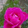 Excurie_Maria 021
